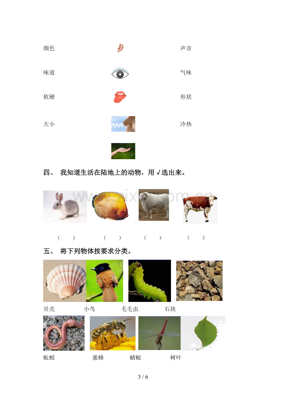 新人教版一年级科学下册期中考试卷及答案【各版本】.doc_第3页