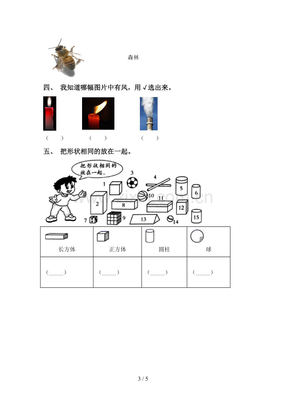 苏教版一年级科学下册期中试卷(学生专用).doc_第3页