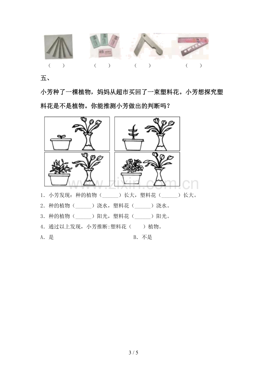 苏教版一年级科学下册期中测试卷(可打印).doc_第3页