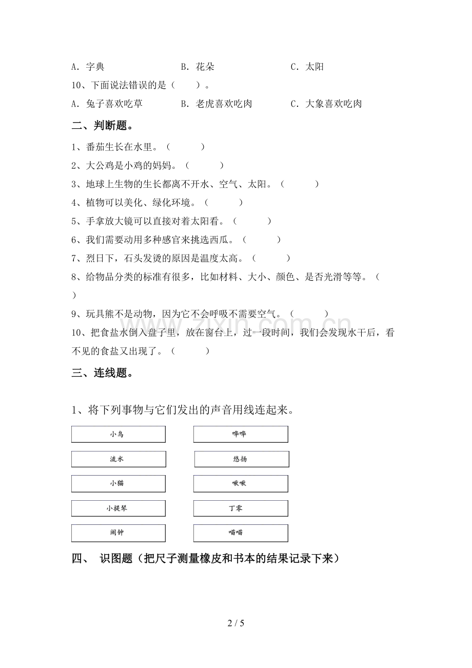 新人教版一年级科学下册期中试卷含答案.doc_第2页