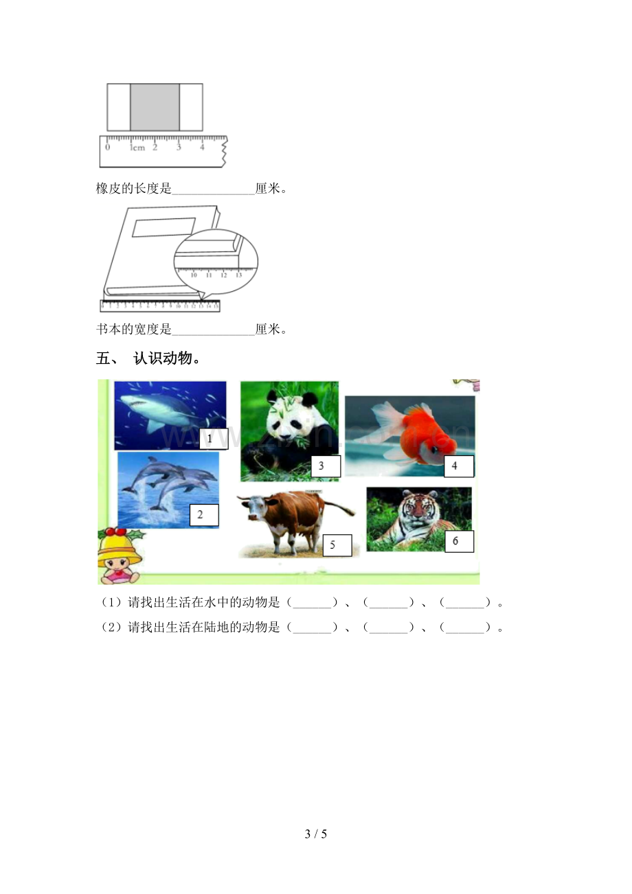 新人教版一年级科学下册期中试卷含答案.doc_第3页