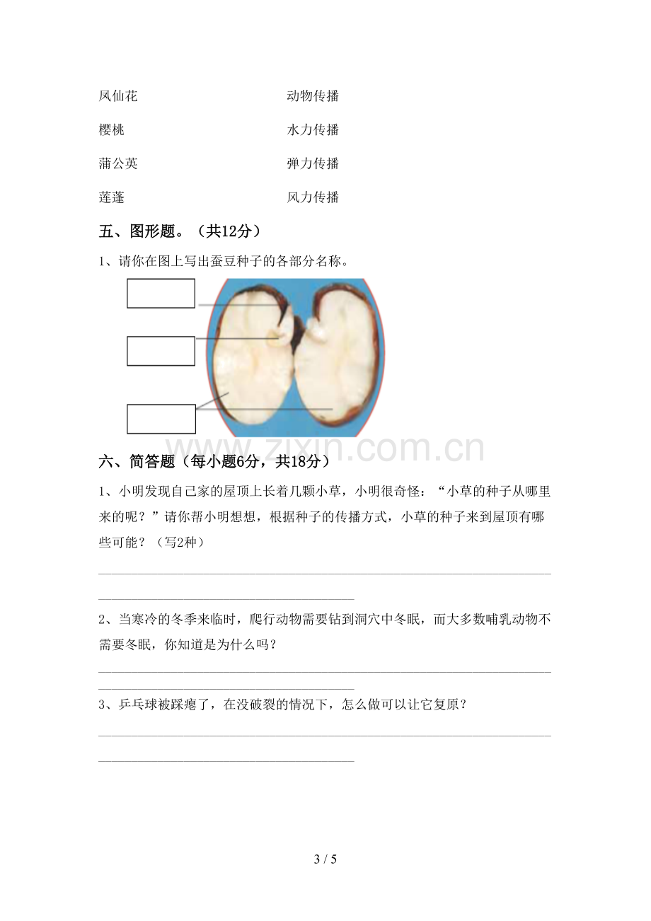 教科版四年级科学下册期中考试卷.doc_第3页