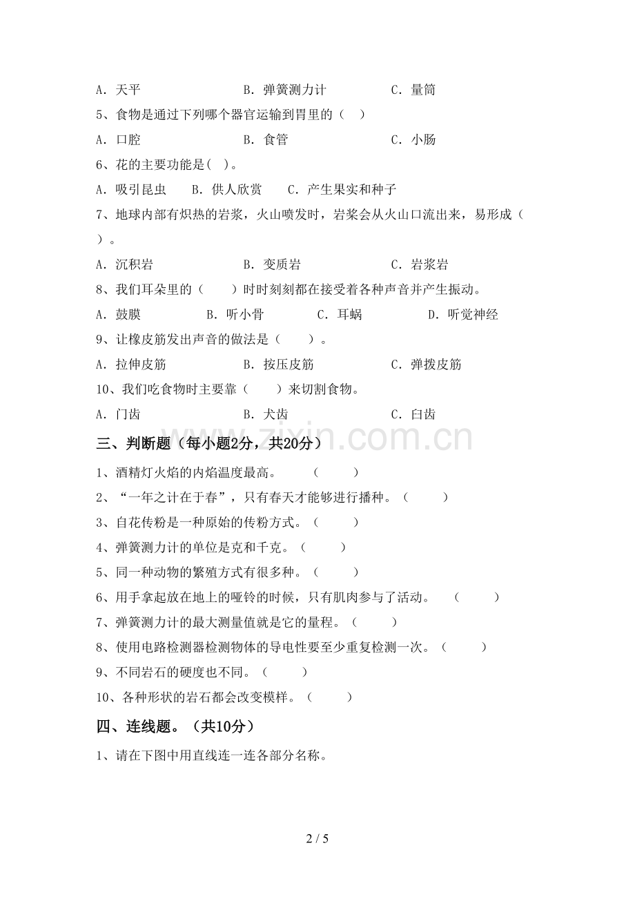 2023年教科版四年级科学下册期中测试卷及答案【A4版】.doc_第2页