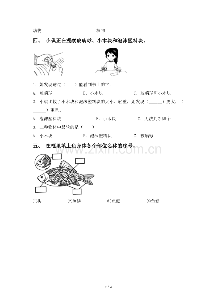 新教科版一年级科学下册期中考试题及答案2.doc_第3页