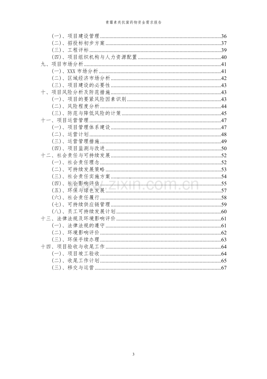 2024年青霉素类抗菌药物项目资金需求报告.docx_第3页