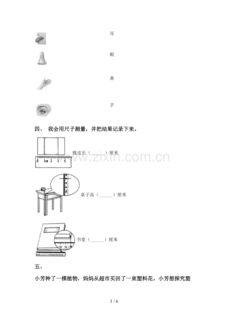 2023年教科版一年级科学下册期中测试卷(下载).doc_第3页