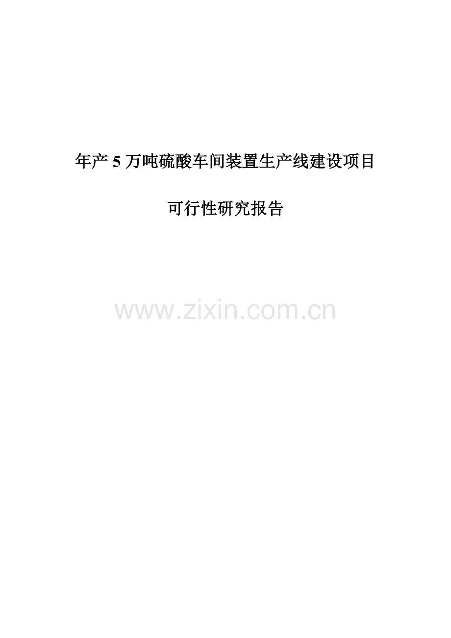 年产5万吨硫酸车间装置生产线项目可行性分析报告.doc_第1页