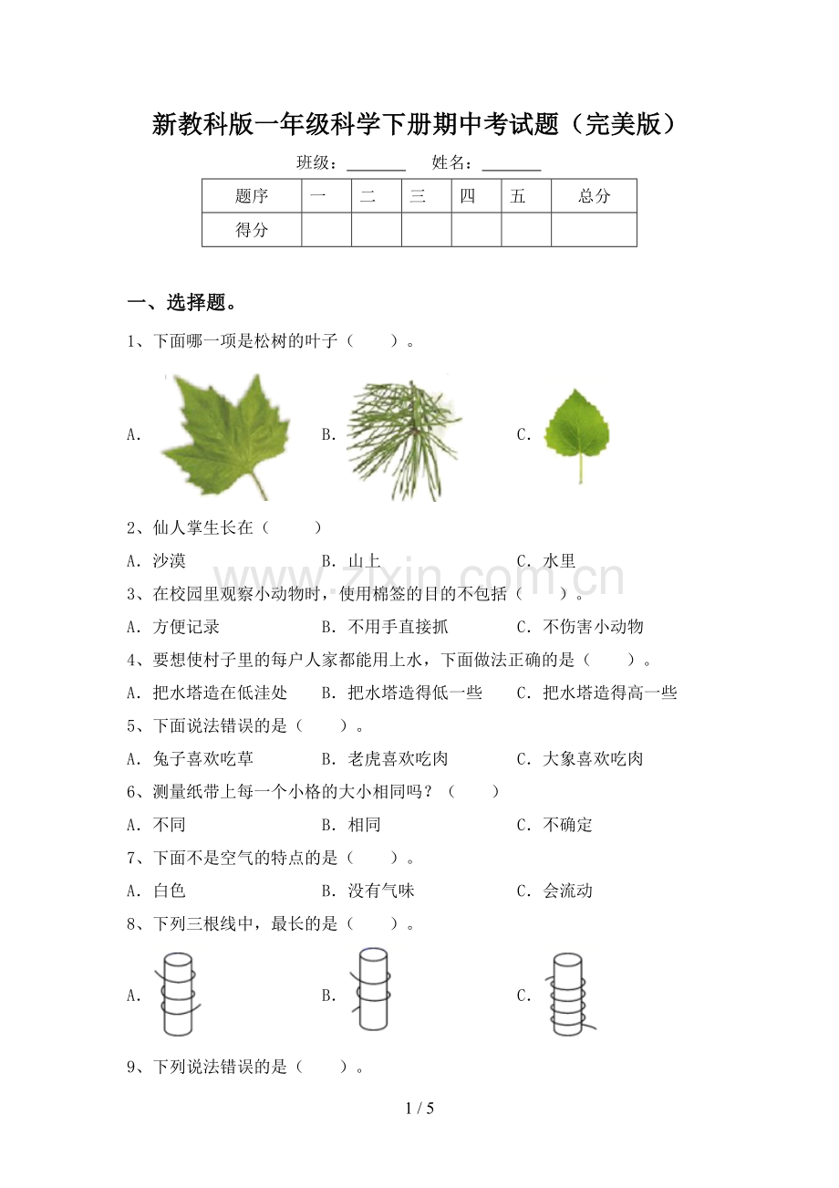 新教科版一年级科学下册期中考试题.doc_第1页