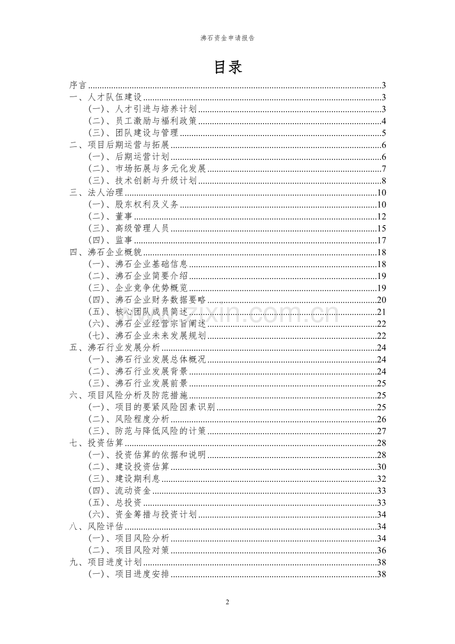 2024年沸石投资项目资金申请报告.docx_第2页