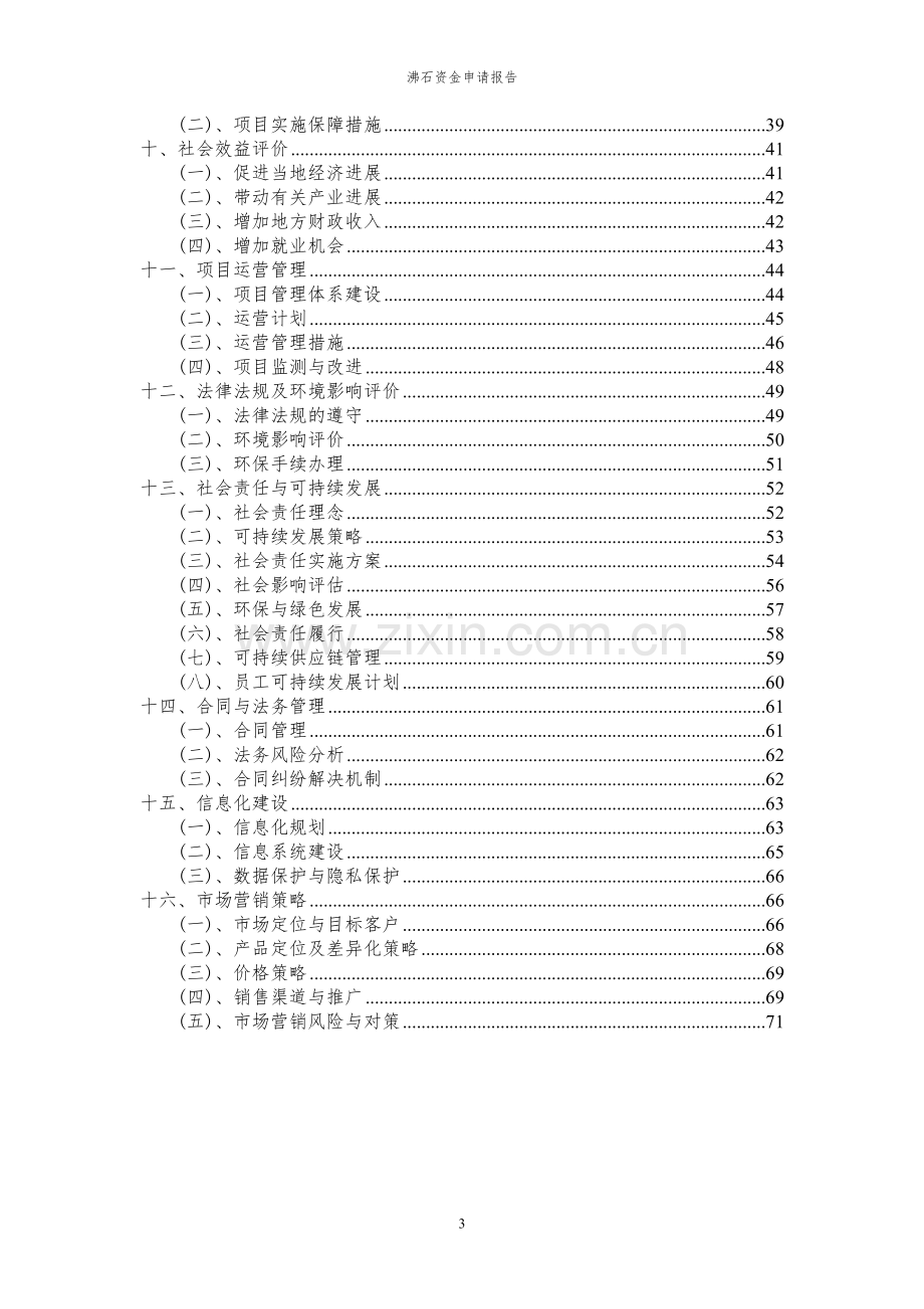 2024年沸石投资项目资金申请报告.docx_第3页