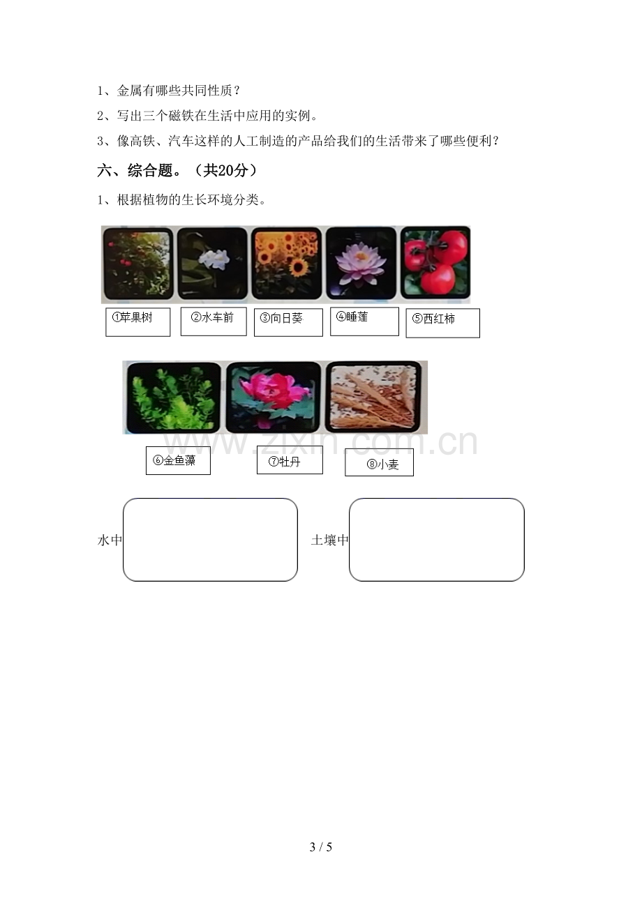 苏教版二年级科学下册期中考试题及答案.doc_第3页