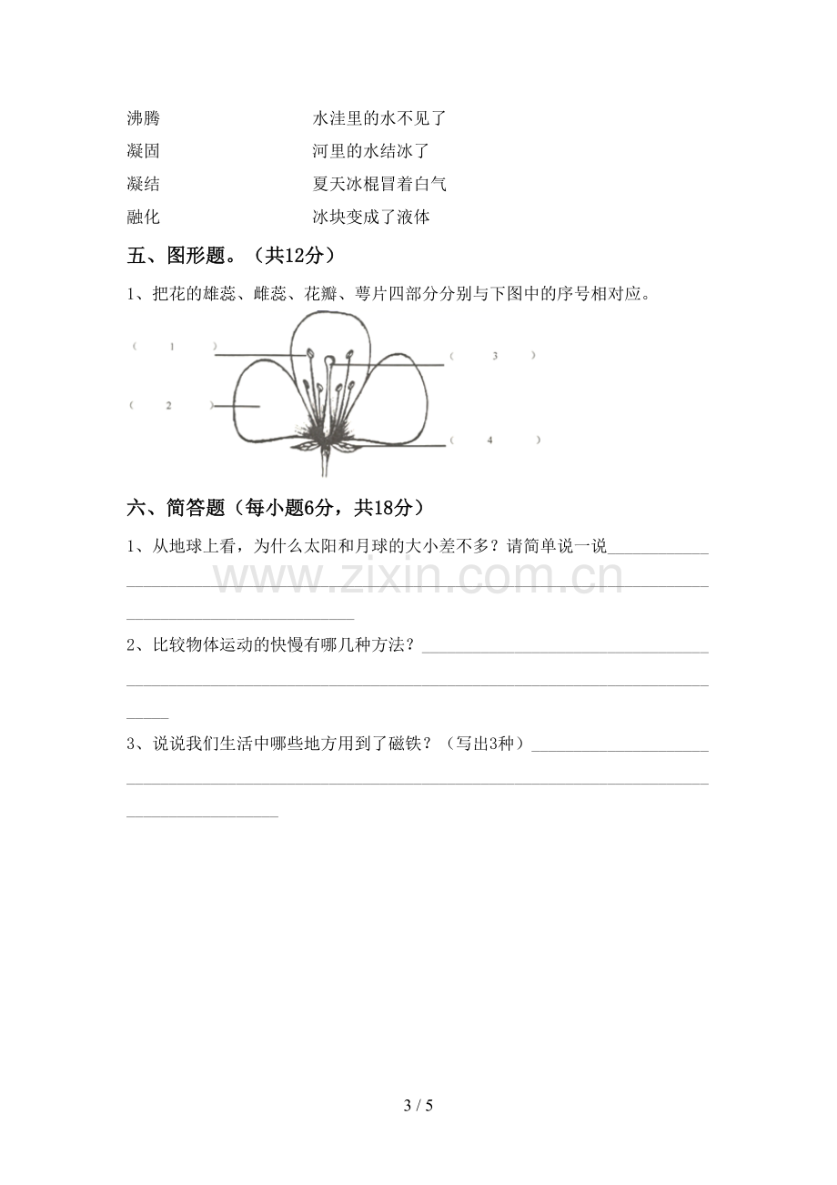 三年级科学下册期中试卷(一套).doc_第3页