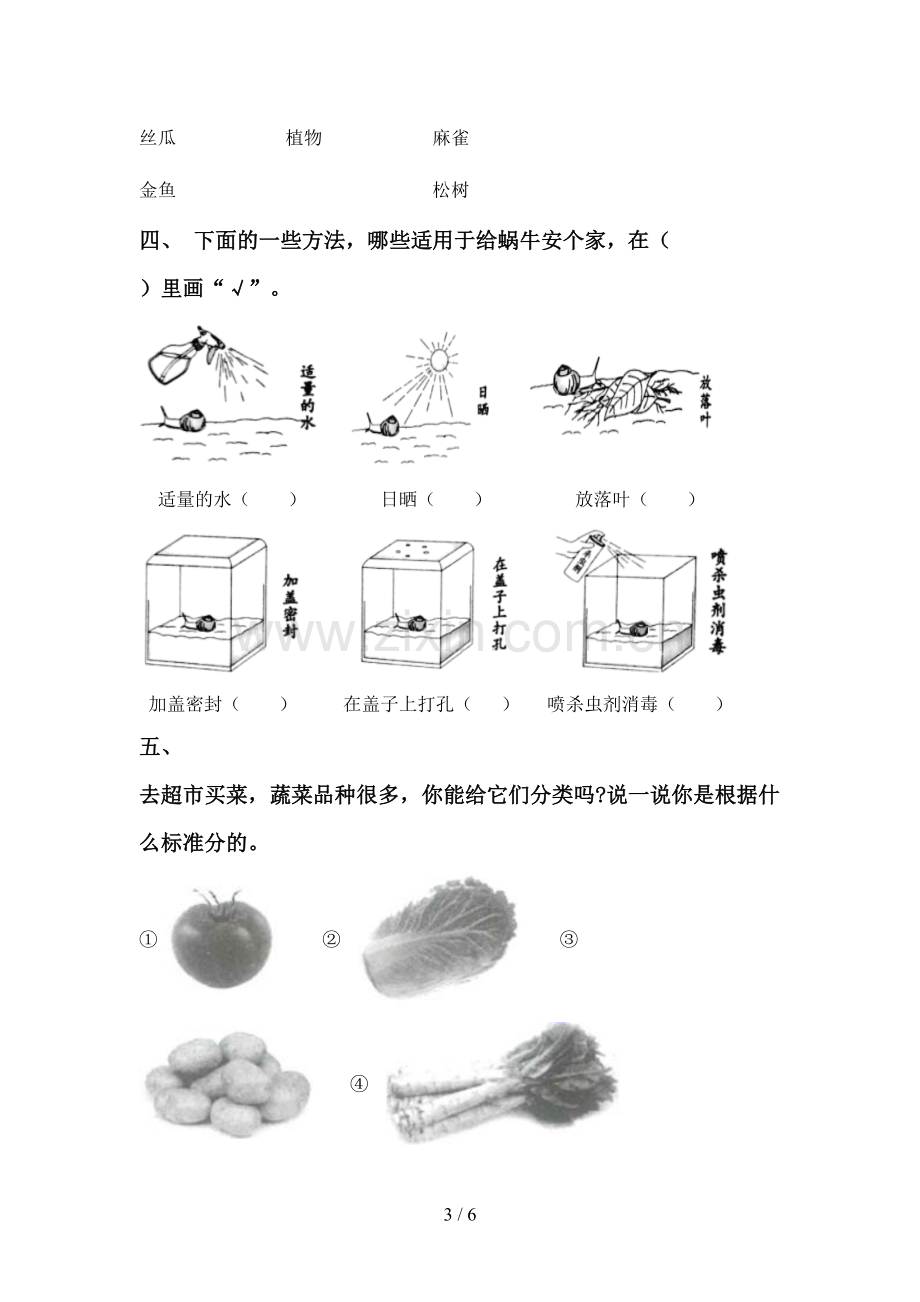 新人教版一年级科学下册期中测试卷及答案一.doc_第3页