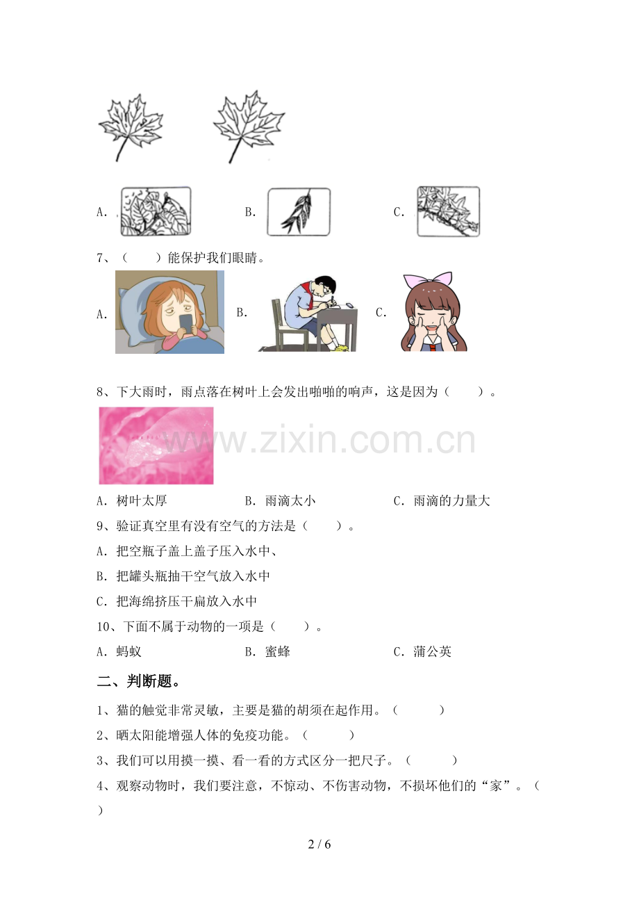 新教科版一年级科学下册期中考试题及答案【新版】.doc_第2页