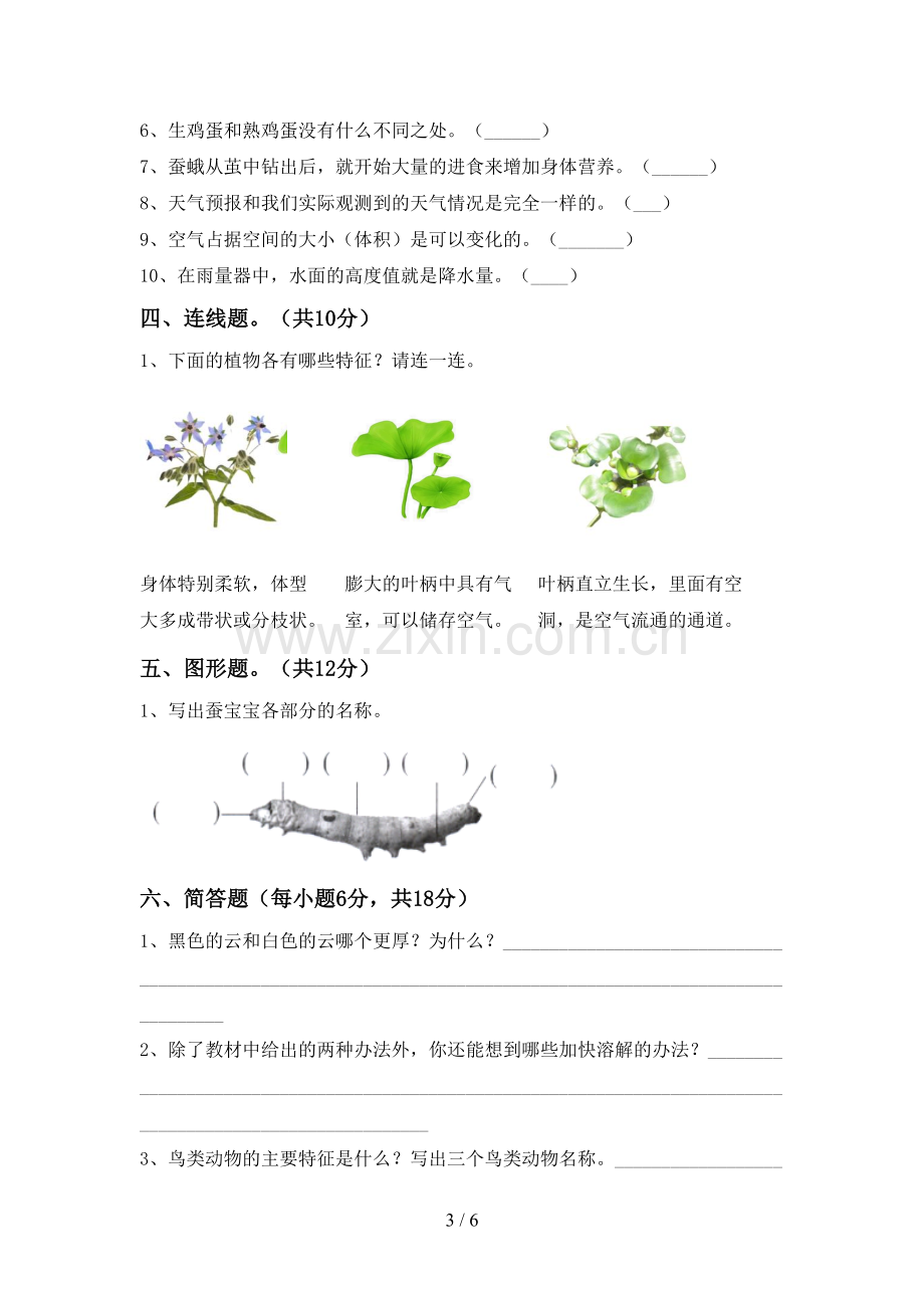 新人教版三年级科学下册期中考试题一.doc_第3页