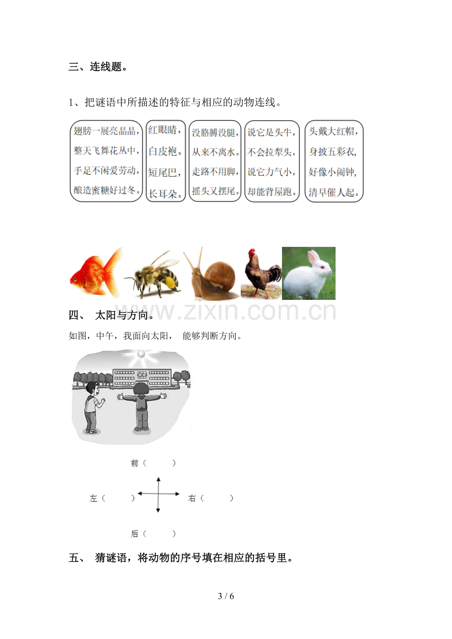 教科版一年级科学下册期中考试题及答案【必考题】.doc_第3页