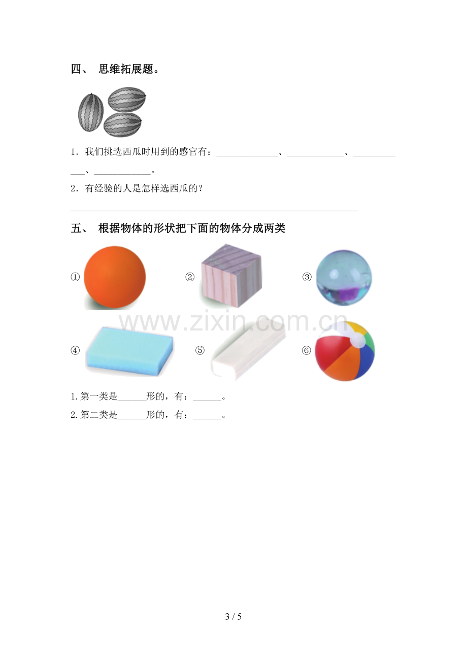 人教版一年级科学下册期中测试卷及答案.doc_第3页