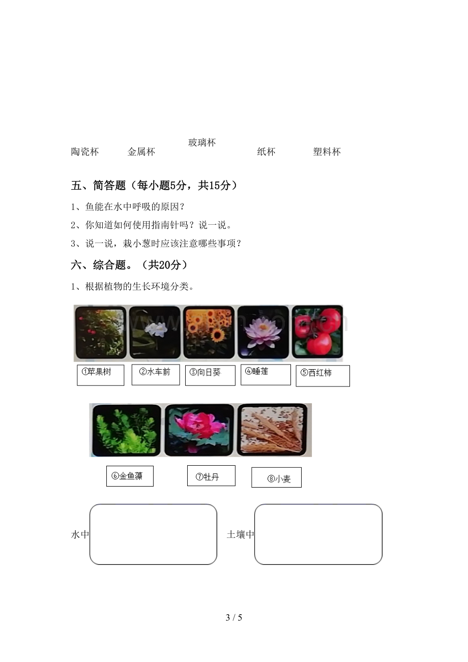 2022-2023年人教版二年级科学下册期中测试卷附答案.doc_第3页