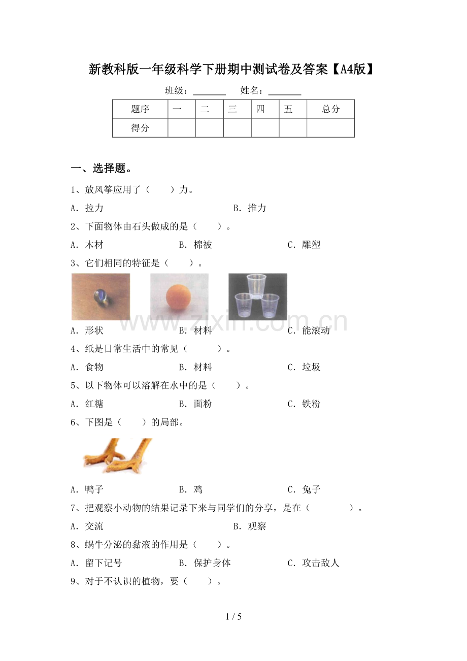 新教科版一年级科学下册期中测试卷及答案【A4版】.doc_第1页