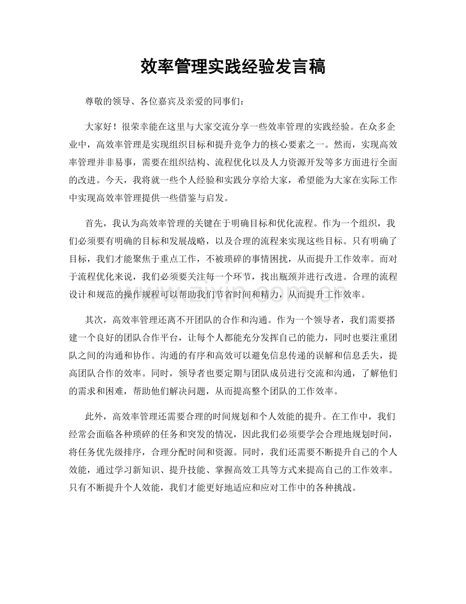 效率管理实践经验发言稿.docx_第1页