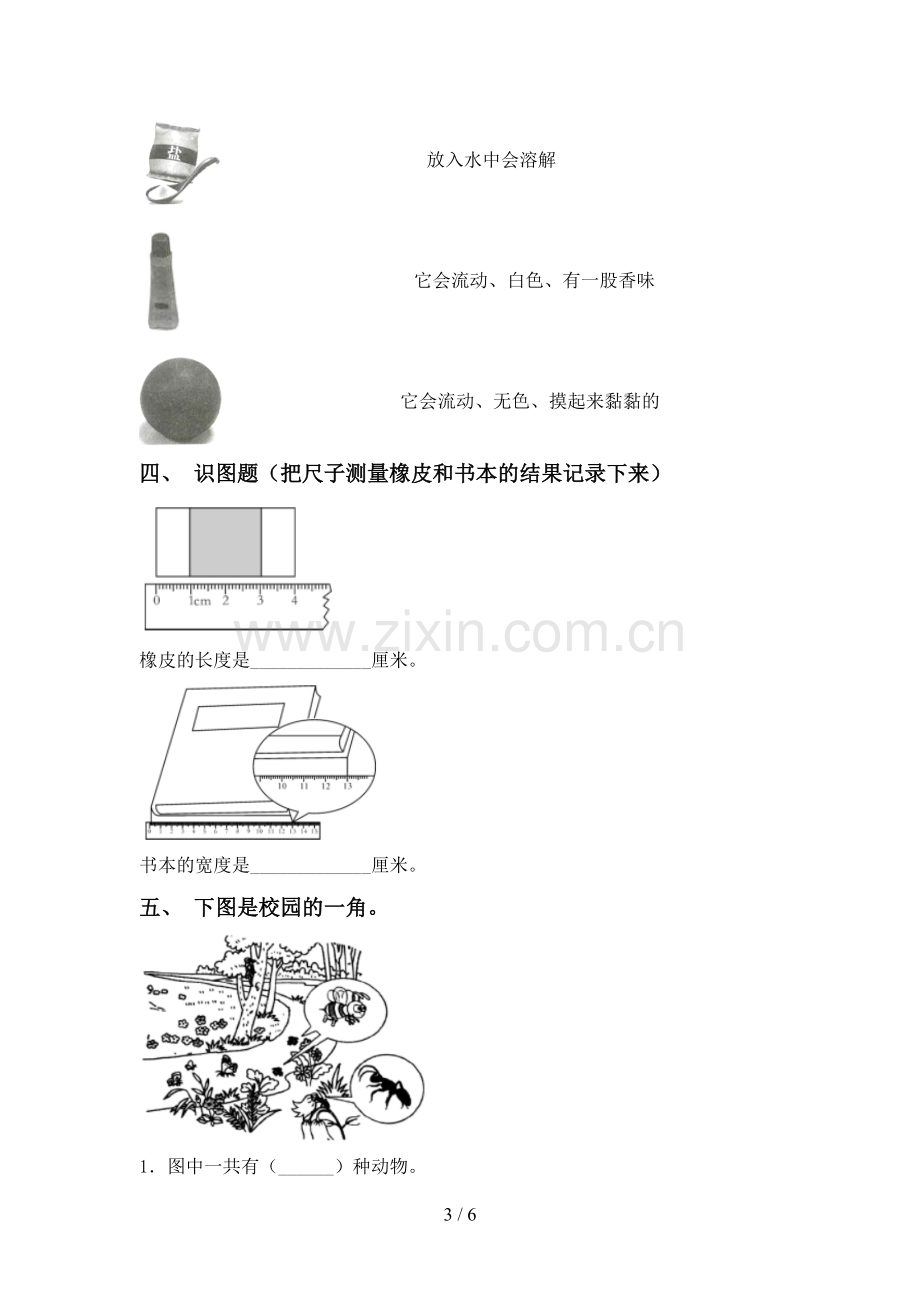 2023年教科版一年级科学下册期中测试卷【及参考答案】.doc_第3页