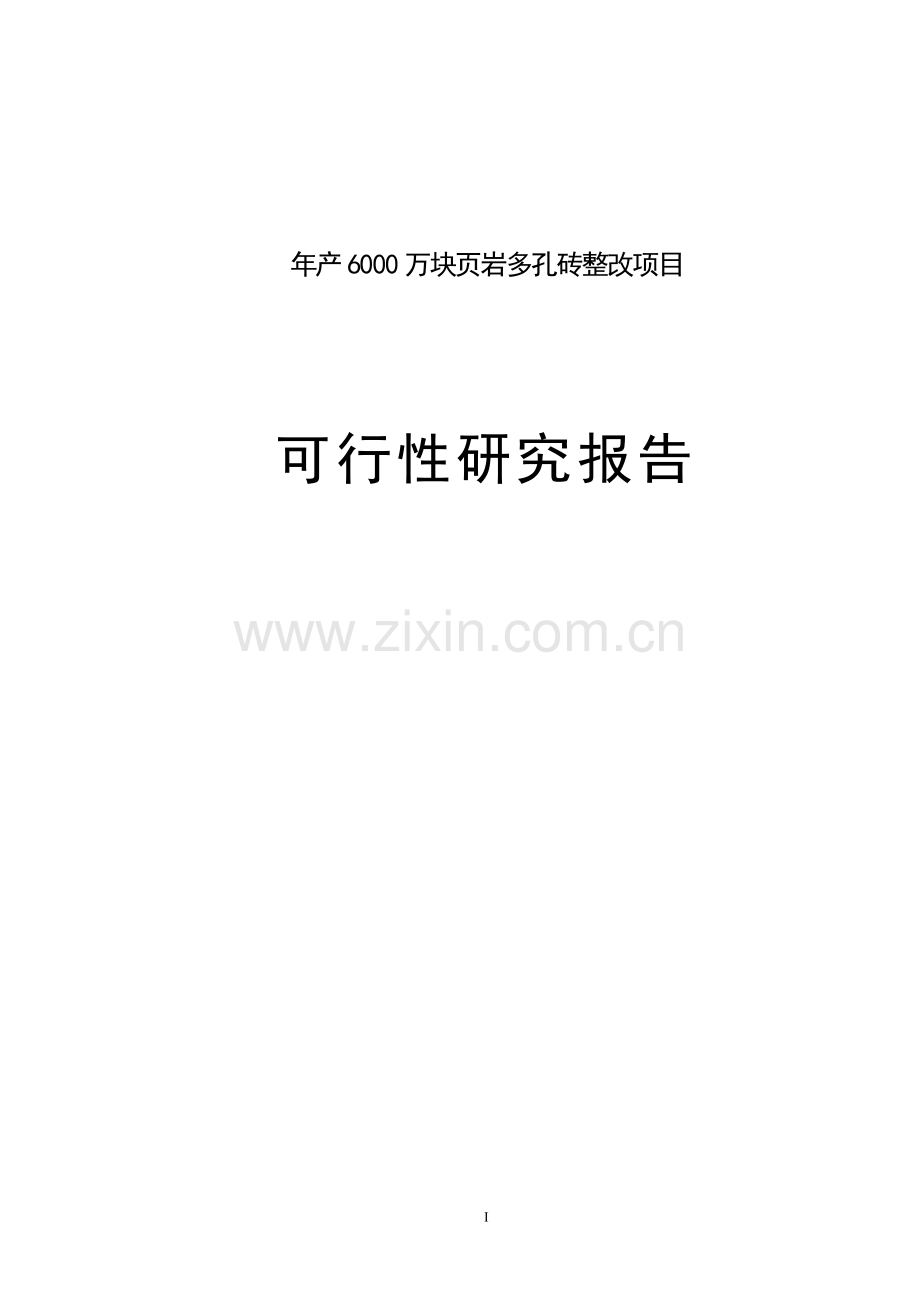 年产6000万块页岩多孔砖整改项目可行性论证报告.doc_第1页