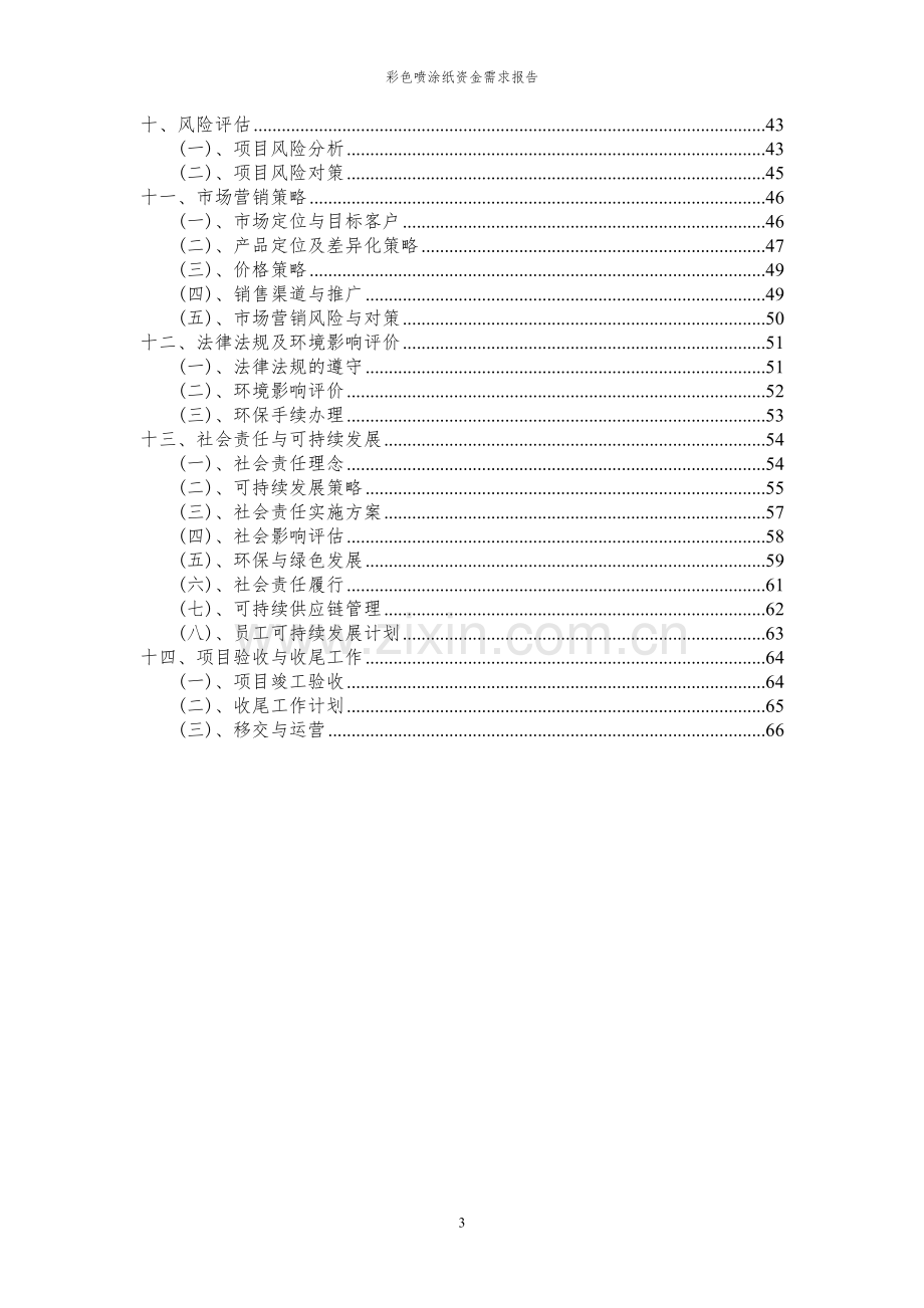 2023年彩色喷涂纸资金需求报告.docx_第3页