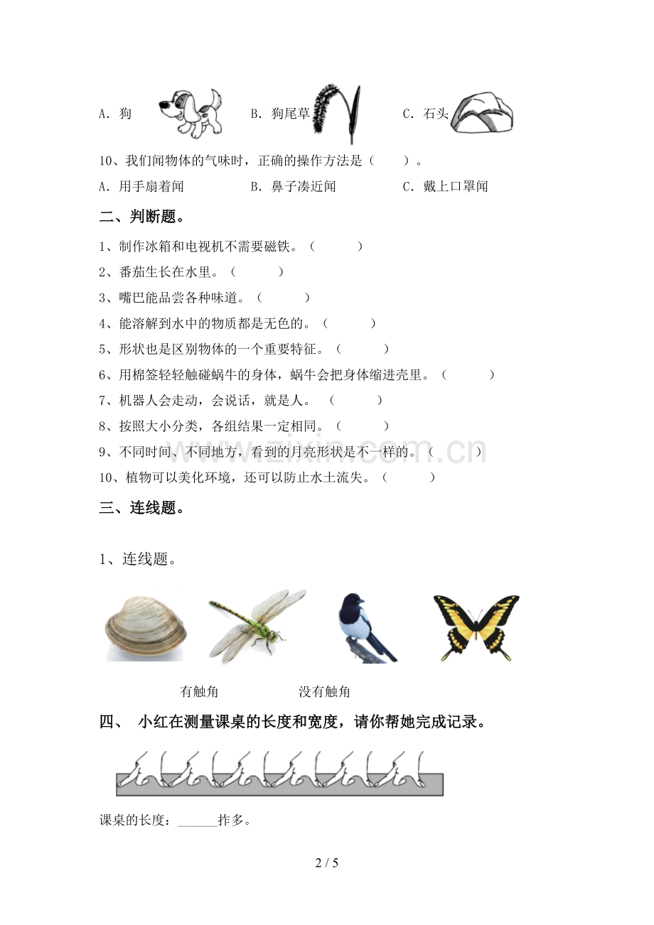 新人教版一年级科学下册期中试卷(下载).doc_第2页