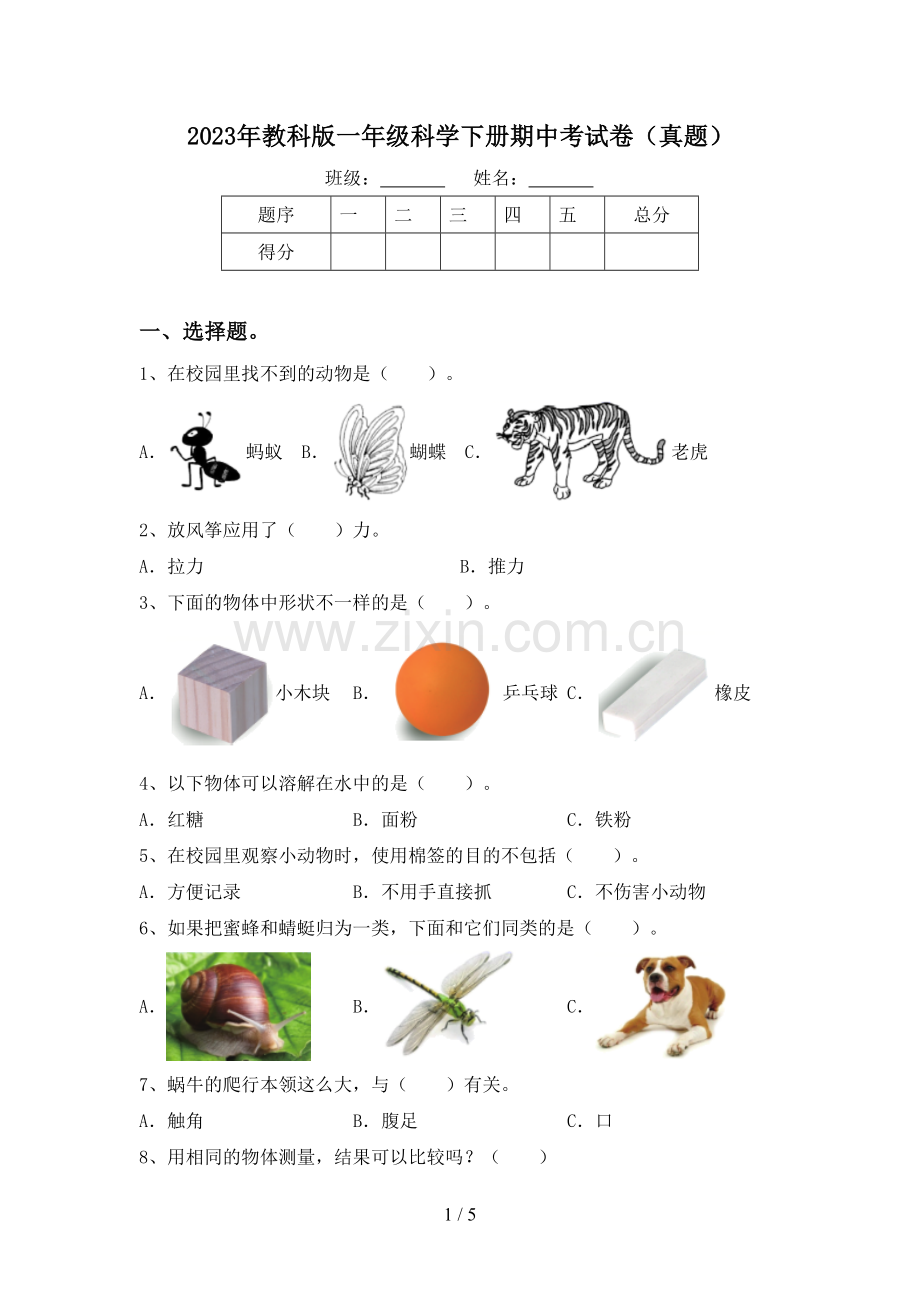 2023年教科版一年级科学下册期中考试卷(真题).doc_第1页