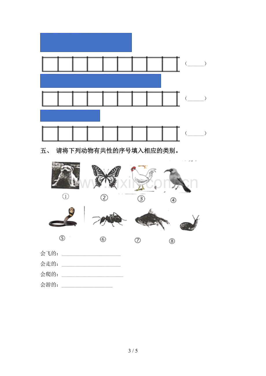 2022-2023年人教版一年级科学下册期中试卷及答案【A4打印版】.doc_第3页