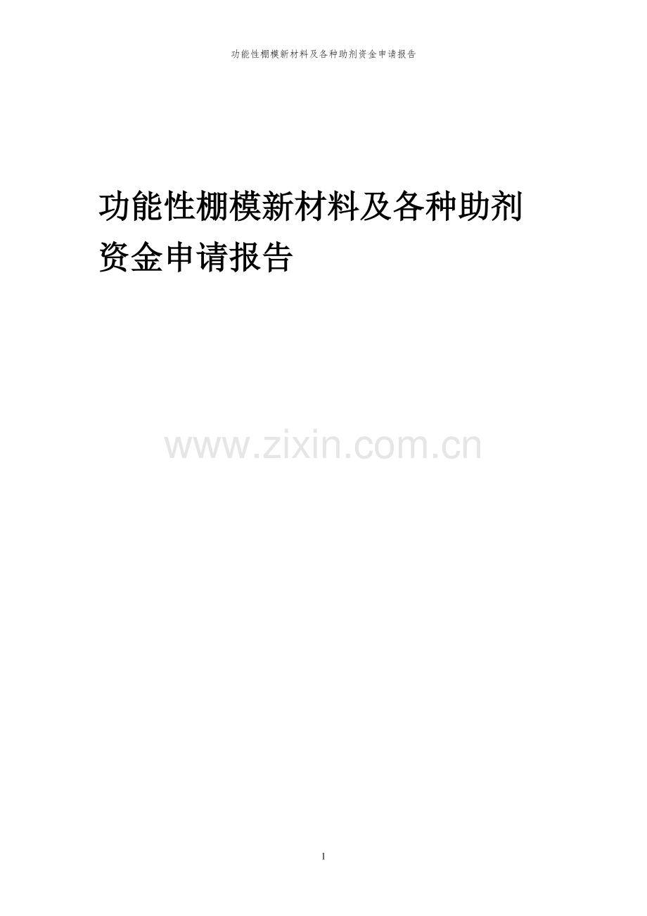 2024年功能性棚模新材料及各种助剂投资项目资金申请报告.docx_第1页