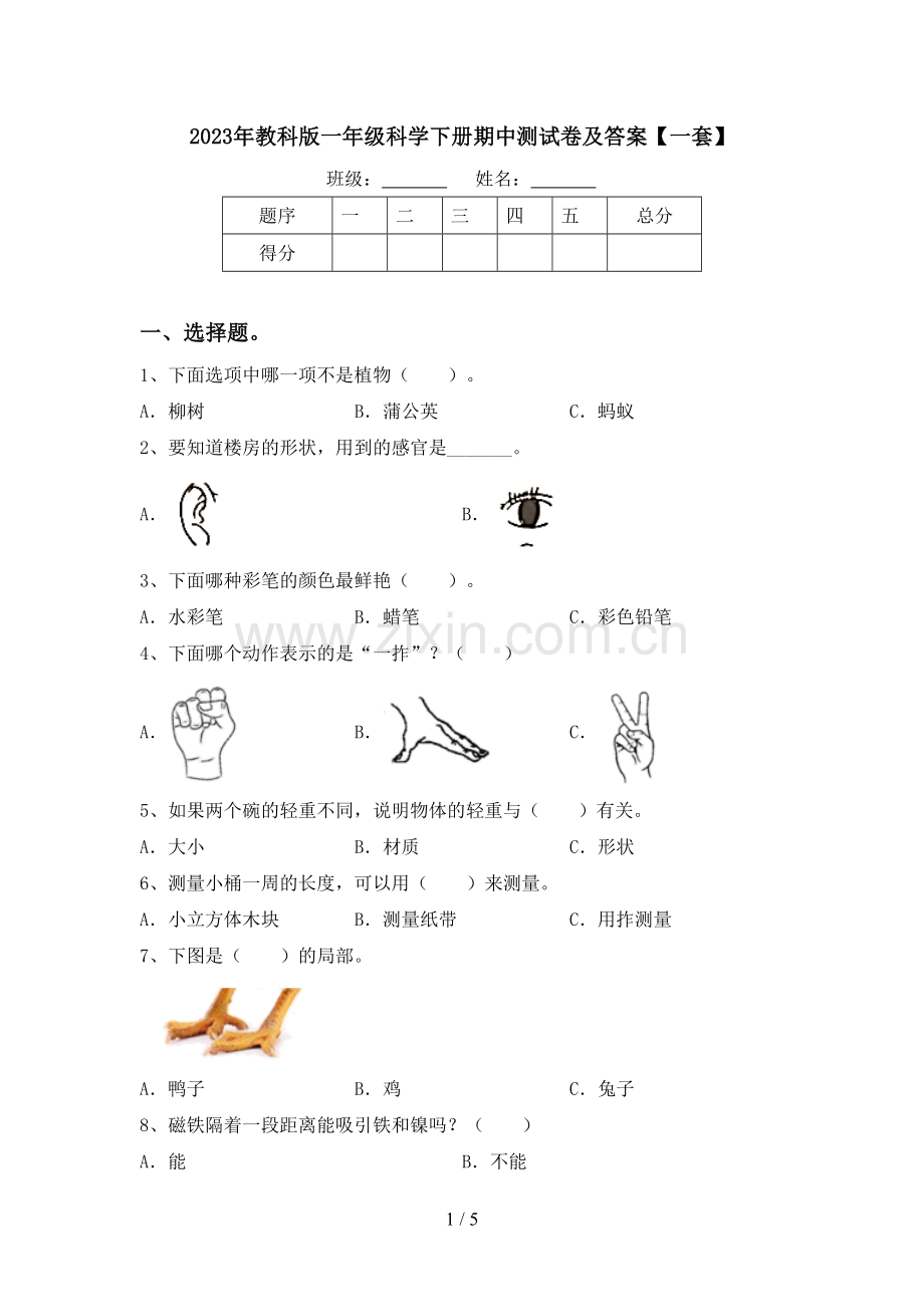 2023年教科版一年级科学下册期中测试卷及答案【一套】.doc_第1页