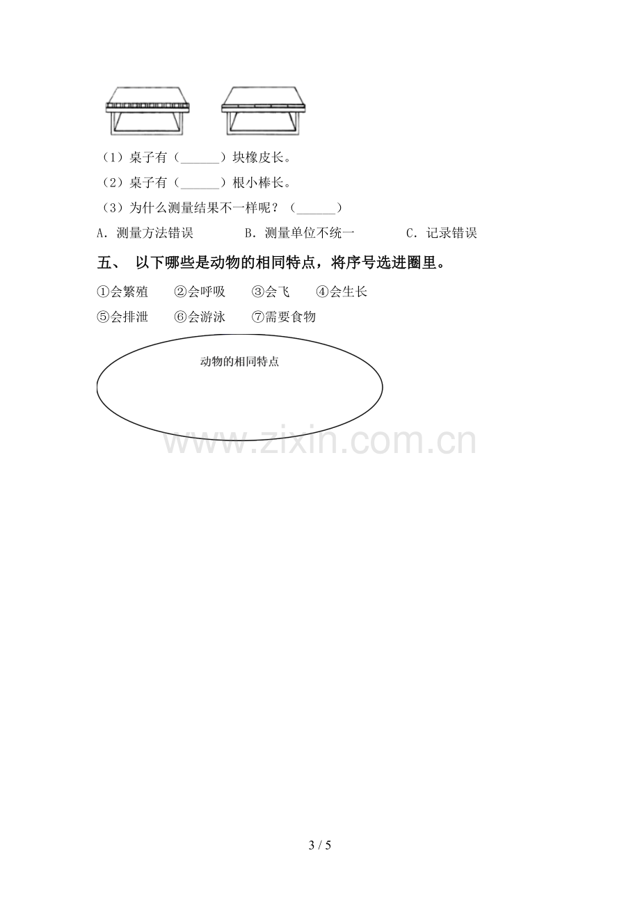 2023年教科版一年级科学下册期中测试卷及答案【一套】.doc_第3页