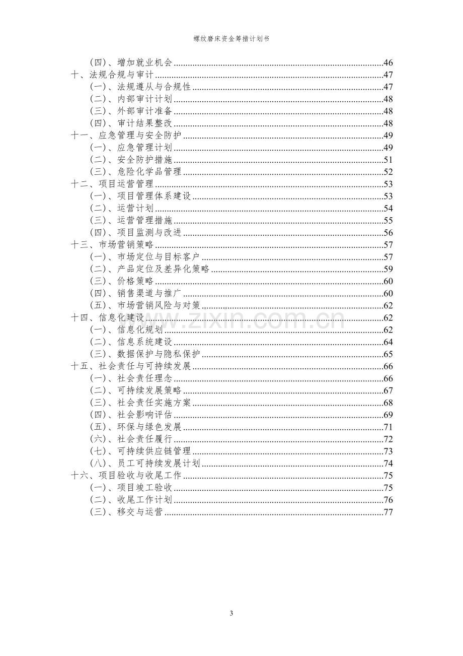 2024年螺纹磨床项目资金筹措计划书.docx_第3页