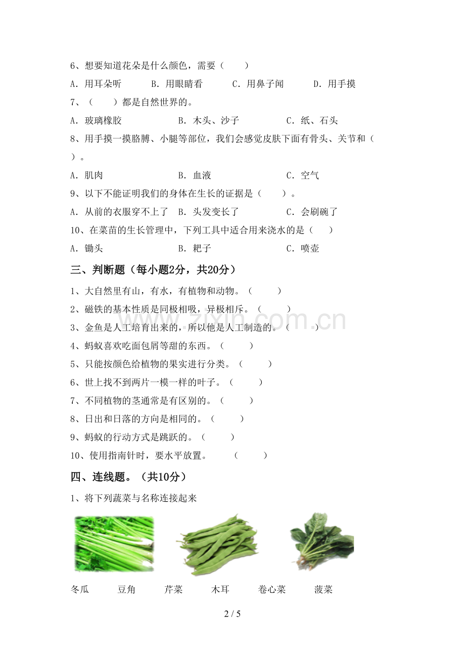 二年级科学下册期中考试题(全面).doc_第2页