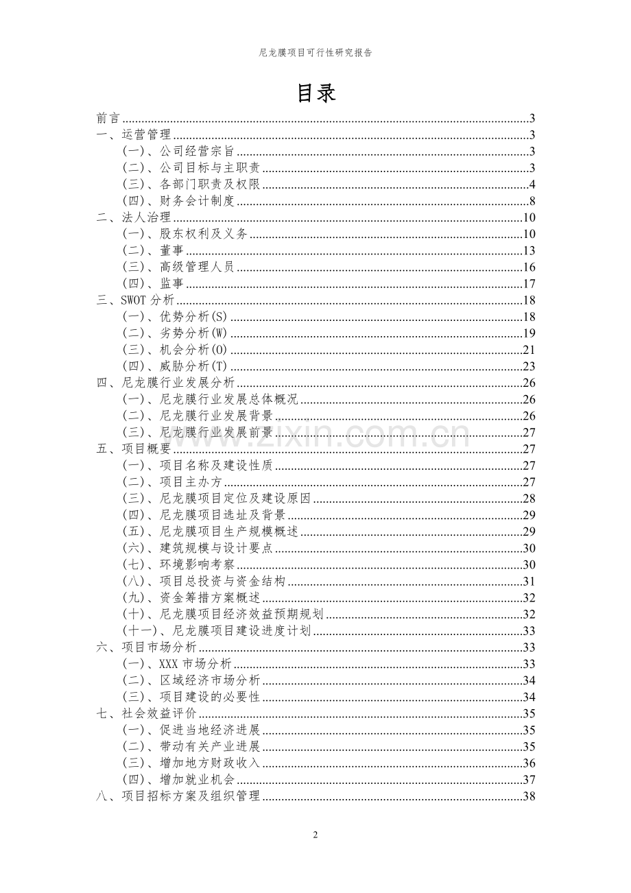 2024年尼龙膜项目可行性研究报告书.docx_第2页