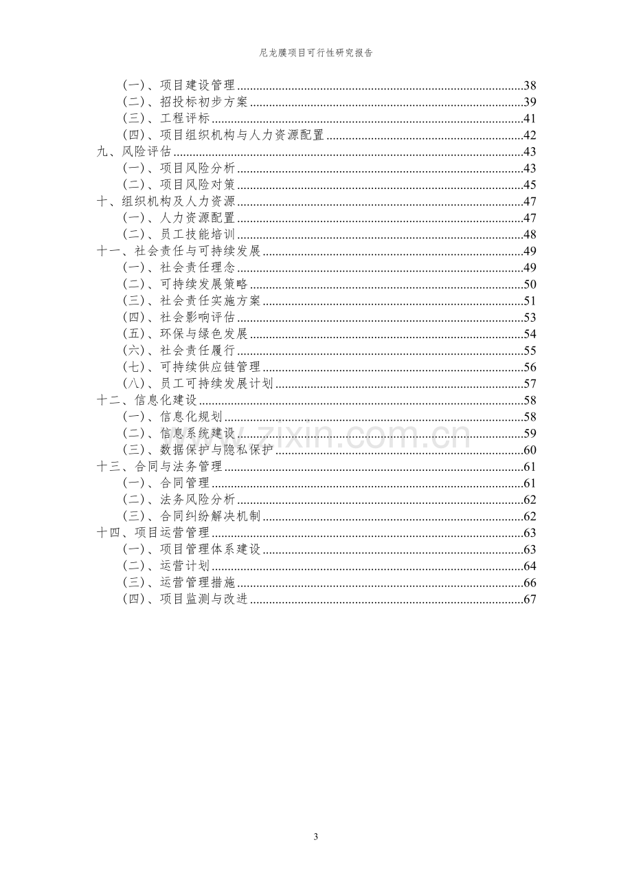 2024年尼龙膜项目可行性研究报告书.docx_第3页