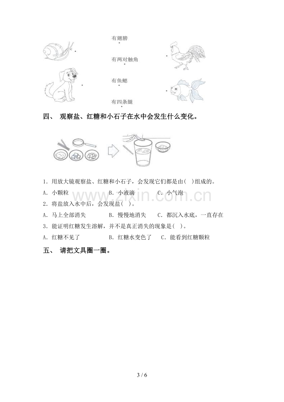 苏教版一年级科学下册期中测试卷及答案.doc_第3页