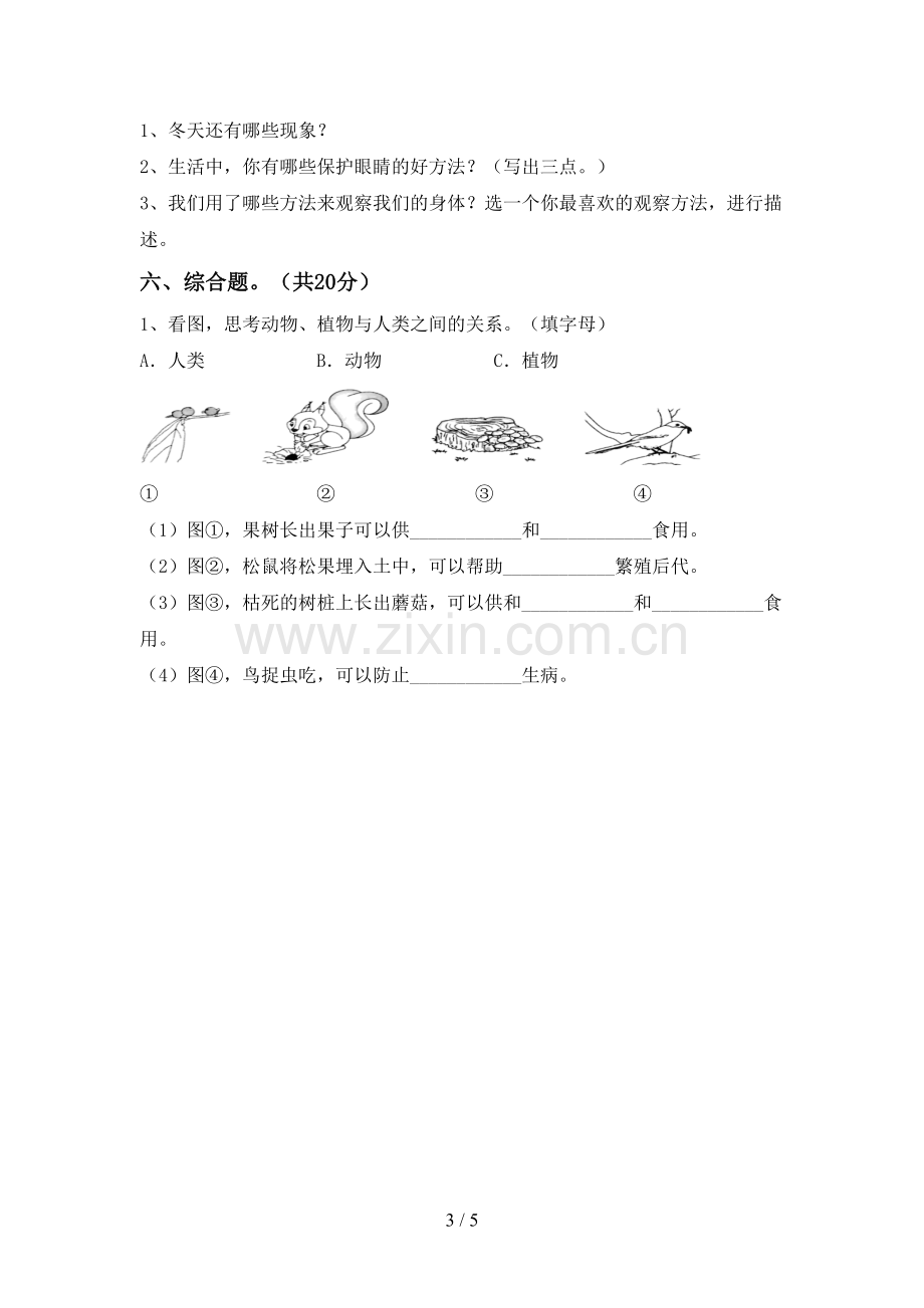 2022-2023年教科版二年级科学下册期中测试卷一.doc_第3页