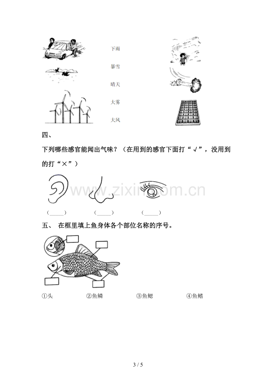 2022-2023年人教版一年级科学下册期中试卷【及参考答案】.doc_第3页