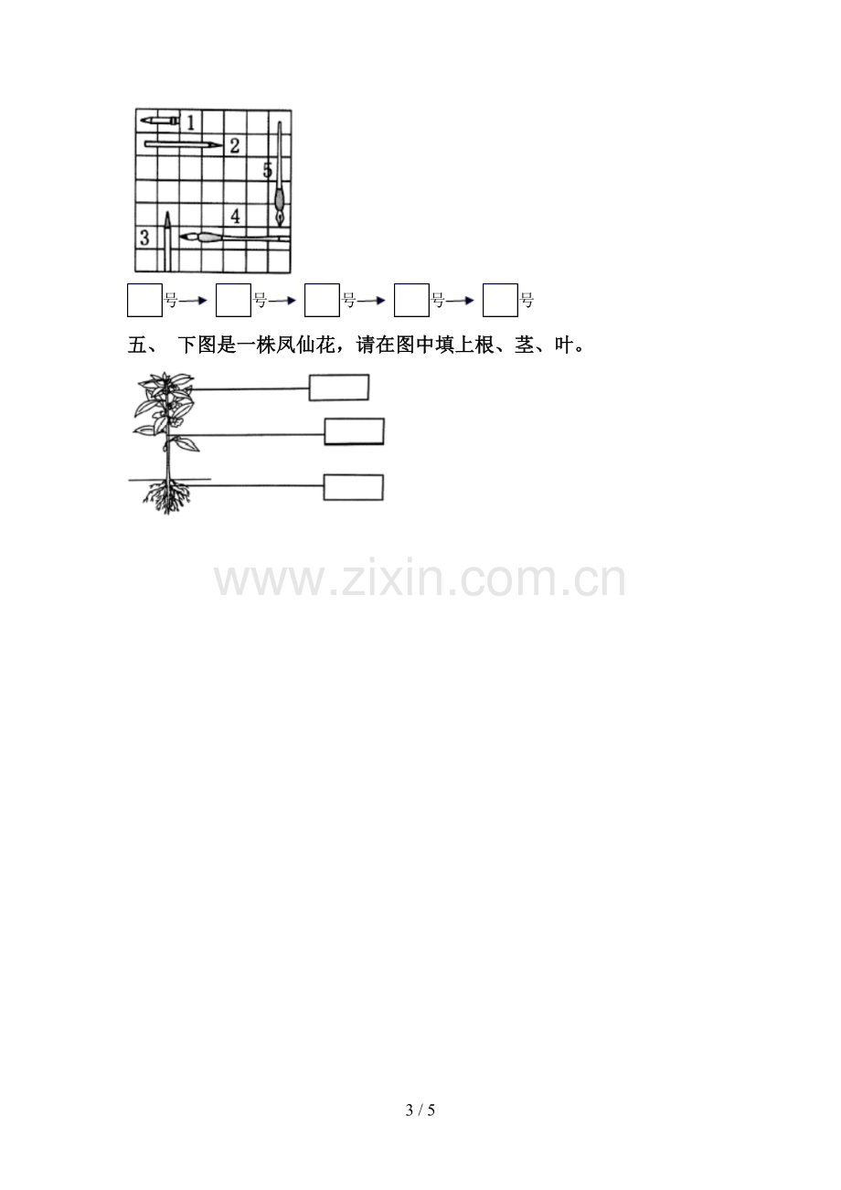 新教科版一年级科学下册期中测试卷(A4打印版).doc_第3页