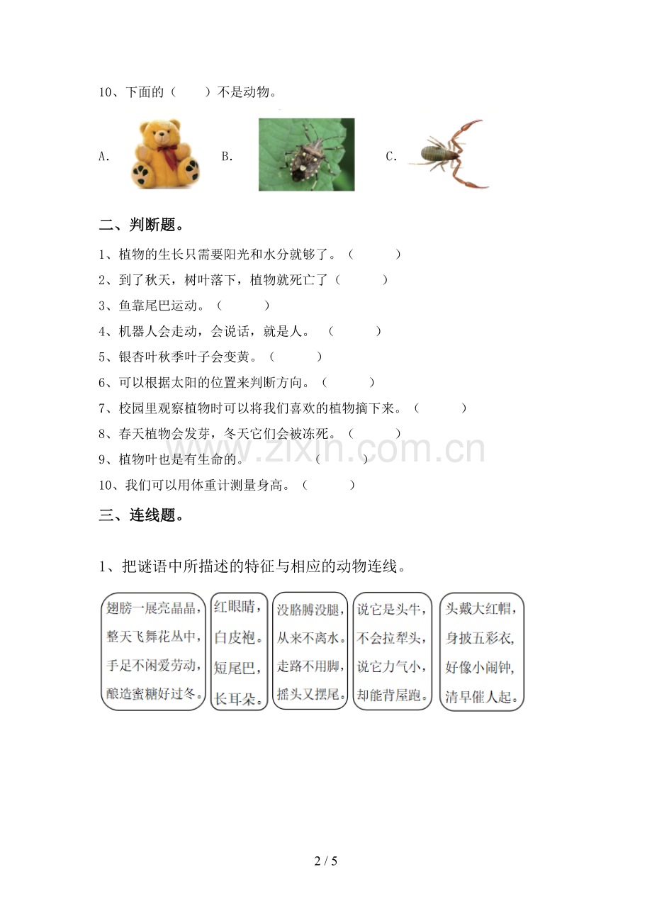 2022-2023年教科版一年级科学下册期中考试题【及答案】.doc_第2页