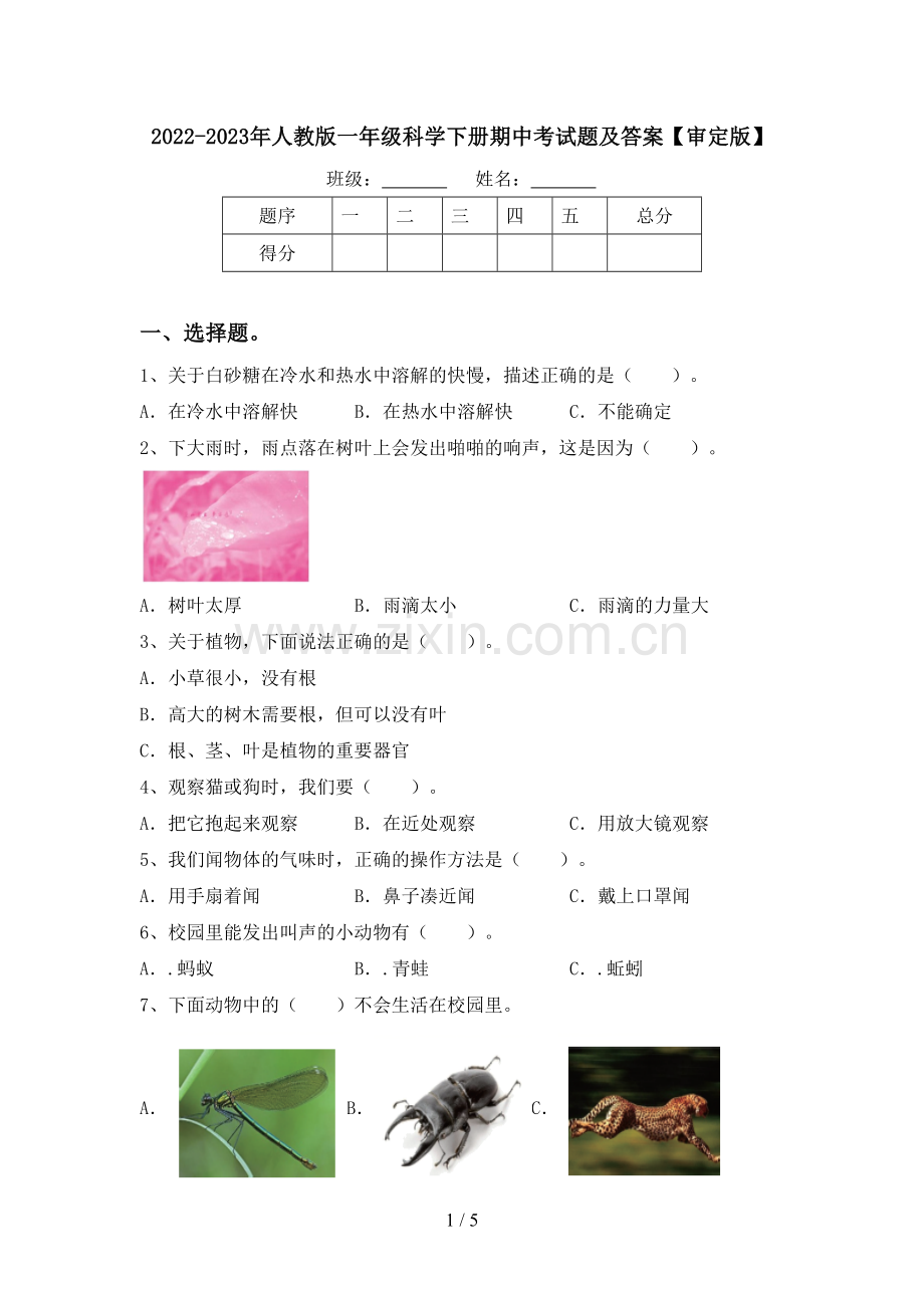 2022-2023年人教版一年级科学下册期中考试题及答案【审定版】.doc_第1页