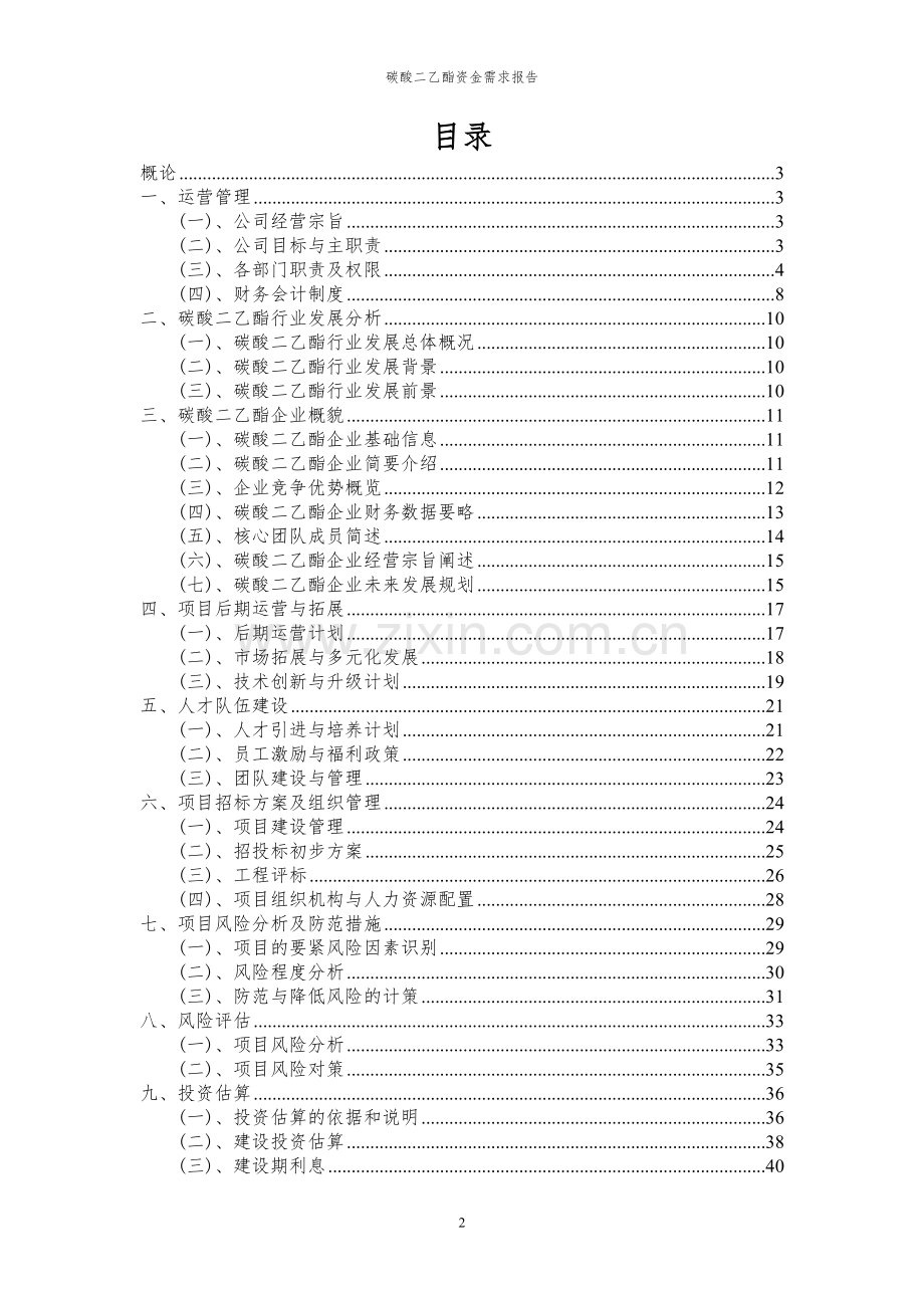 2024年碳酸二乙酯项目资金需求报告.docx_第2页