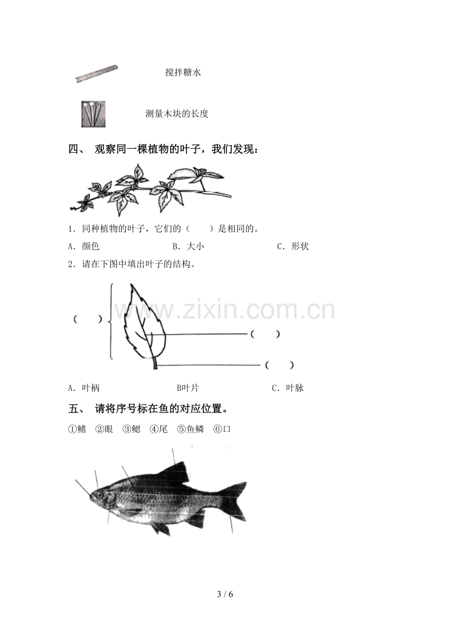 2022-2023年人教版一年级科学下册期中试卷【参考答案】.doc_第3页