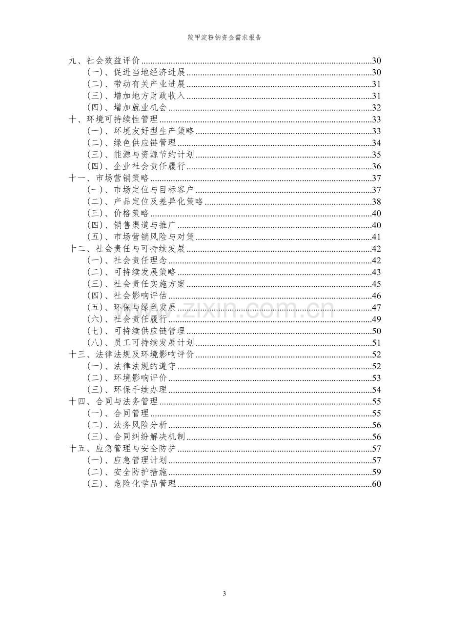 2023年羧甲淀粉钠项目资金需求报告.docx_第3页