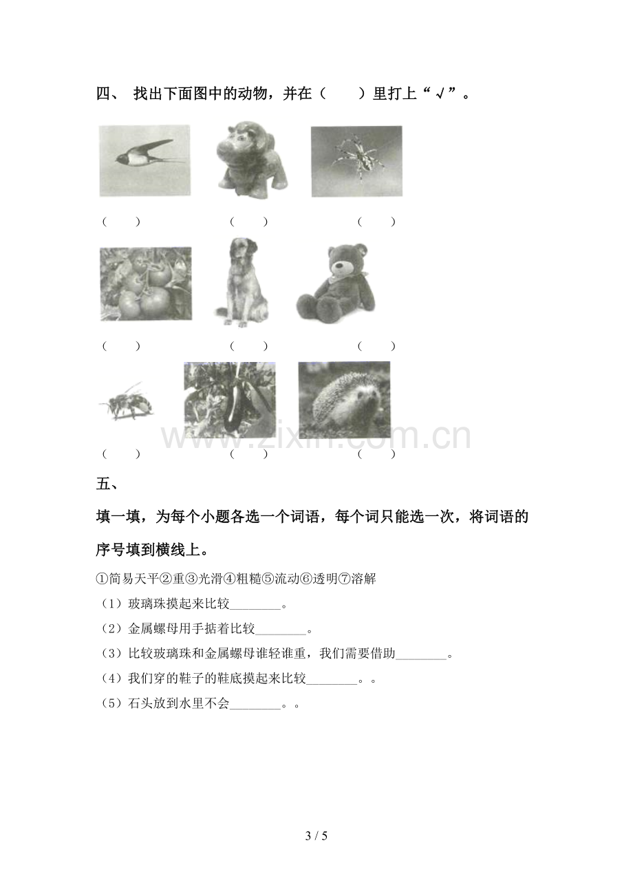 教科版一年级科学下册期中测试卷.doc_第3页