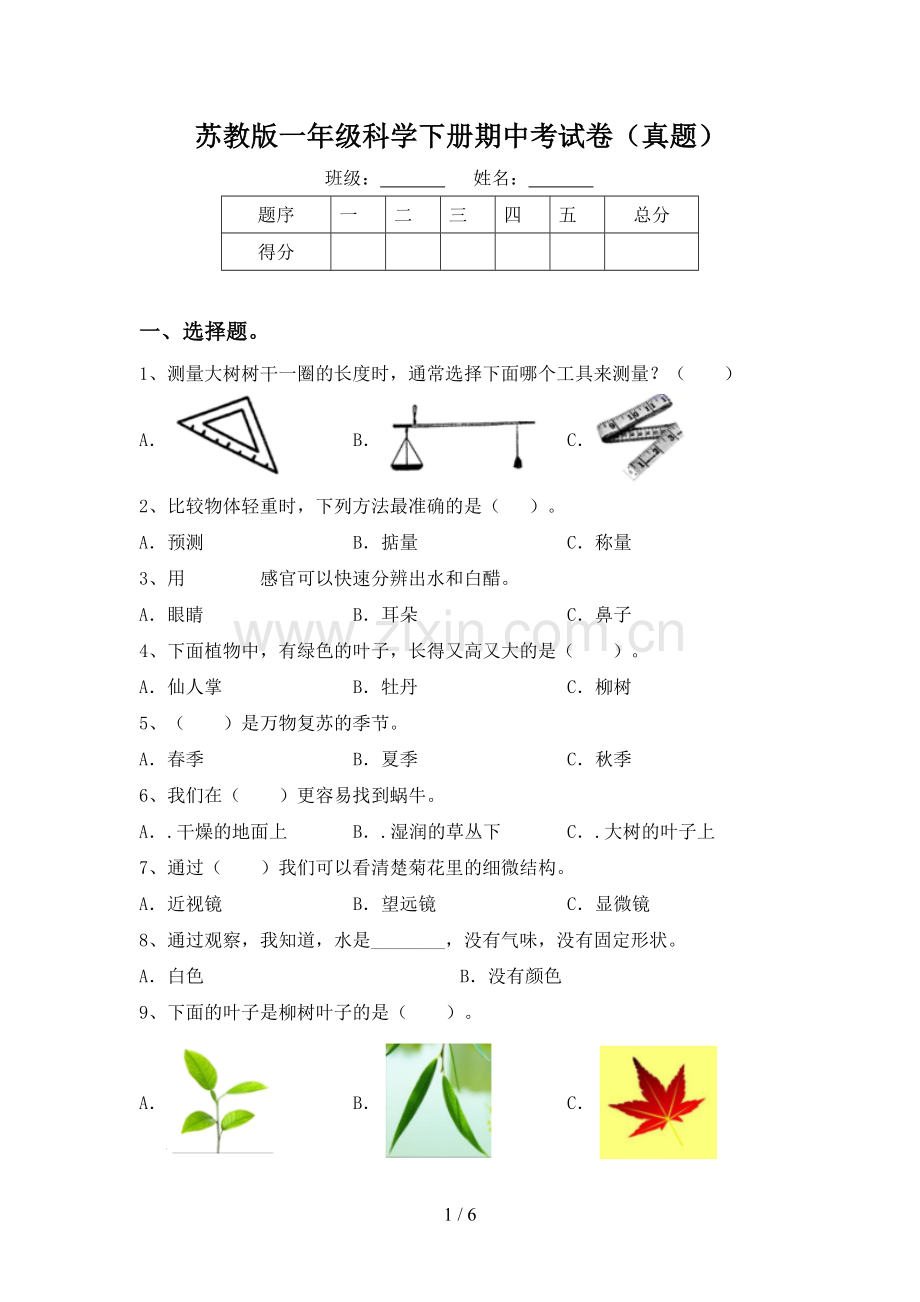 苏教版一年级科学下册期中考试卷(真题).doc_第1页