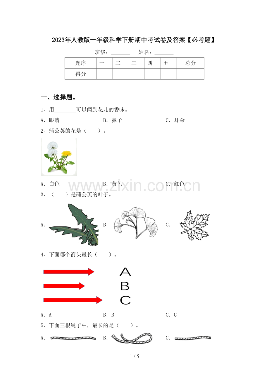 2023年人教版一年级科学下册期中考试卷及答案【必考题】.doc_第1页