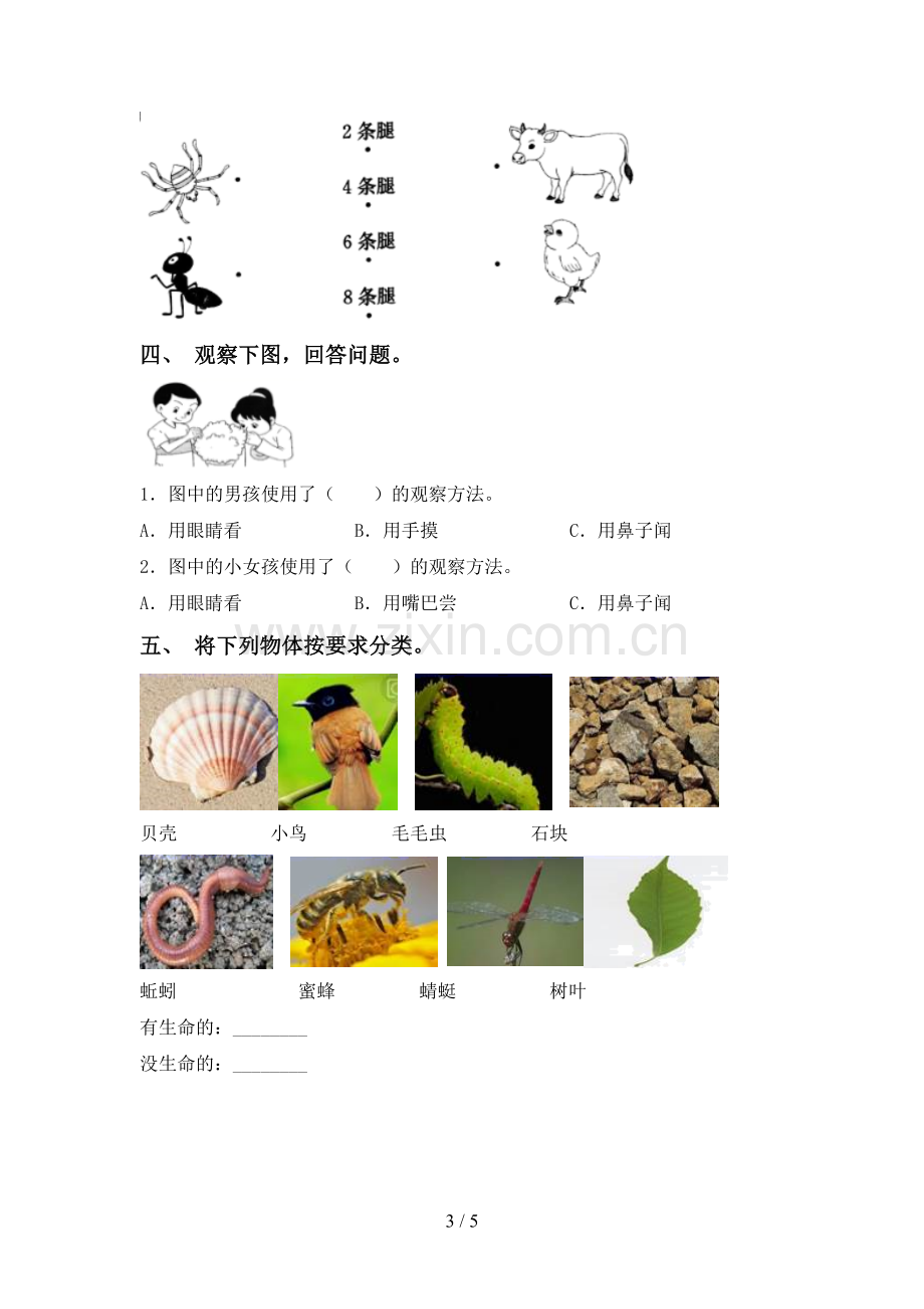 2023年人教版一年级科学下册期中考试卷及答案【必考题】.doc_第3页